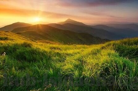 麻豆传媒在哪里可以看-麻豆传媒-观影指南