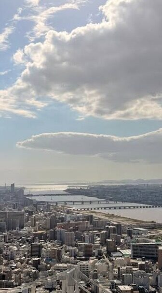 麻豆影视app哪里可以下载-了解麻豆影视App的获取途径，一站式便捷观影指南