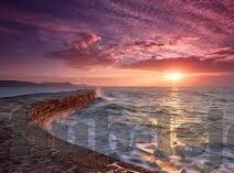 宅宅网伦理-宅宅网,在数字时代下的伦理边界探索